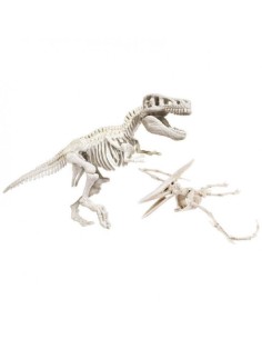 KIT DE EXCAVACIÓN T-REX Y PTERANODON 2