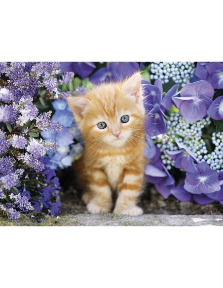 PUZZLE 500 PIEZAS Gatito rubio