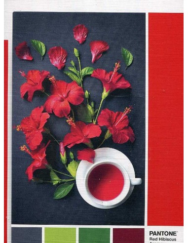 PUZZLE PANTONE 186, AROMA FLOR HIBISCO D