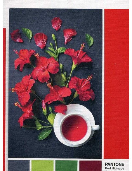 PUZZLE PANTONE 186, AROMA FLOR HIBISCO D