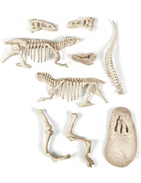 ARQUEOJUGANDO T-REX FLUORESCENTE