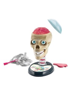 JUEGO EDUCATIVO ANATOMIA - FUERA DE CABE 2