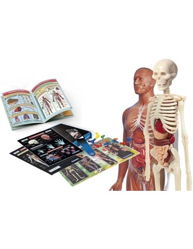 Laboratorio de Anatomía