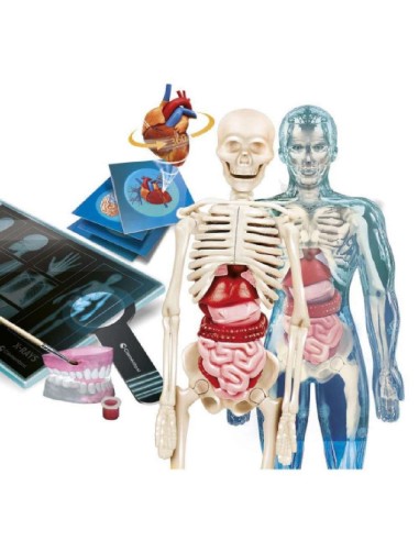 CIENCIA Y JUEGO SUPERANATOMIA
