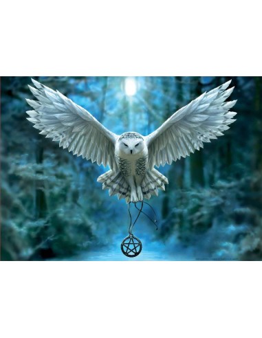 Puzzle 500 despierta tu magia