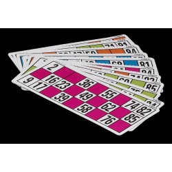 48 CARTONES LOTERÍA XXL