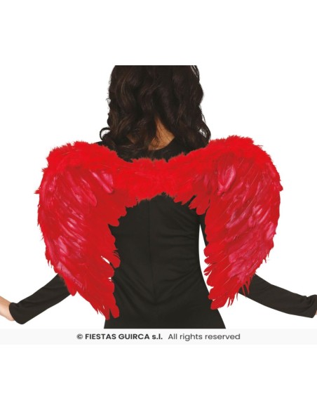 ALAS PLUMAS ROJAS 60x40 CMS.