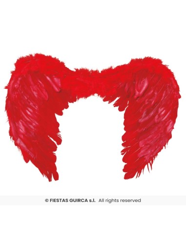 ALAS PLUMAS ROJAS 60x40 CMS.