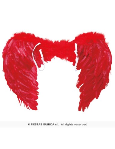 ALAS PLUMAS ROJAS 60x40 CMS.