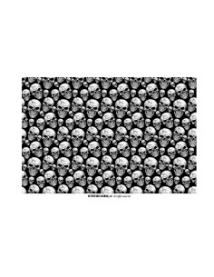MANTEL CALAVERAS 137X274 CMS. 2