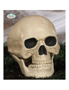 CALAVERA 20 CMS