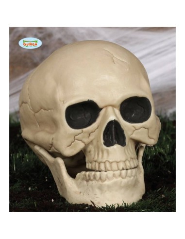 CALAVERA 20 CMS
