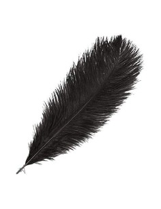 PLUMA AVESTRUZ NEGRO