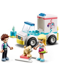 41694 FRIENDS AMBULANCIA DE CLINICA DE M 2
