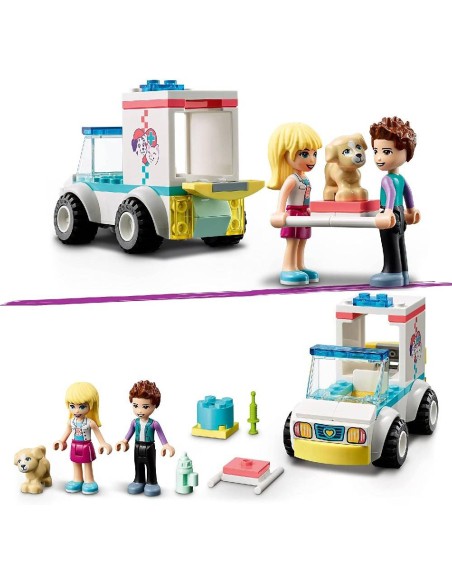 41694 FRIENDS AMBULANCIA DE CLINICA DE M