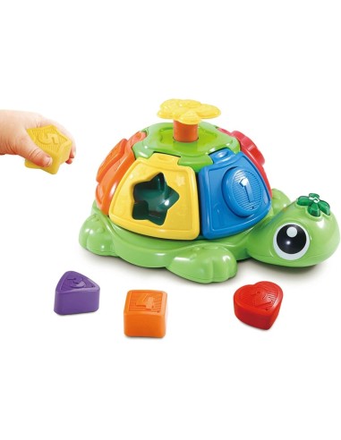 Tortuga giros y sorpresas
