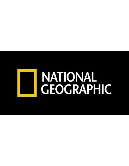 SET 5 FIGURAS DE DINOSAURIOS NATIONAL GE