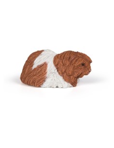 FIGURA COBAYA CERDO DE GUINEA ( PAPO ) 5