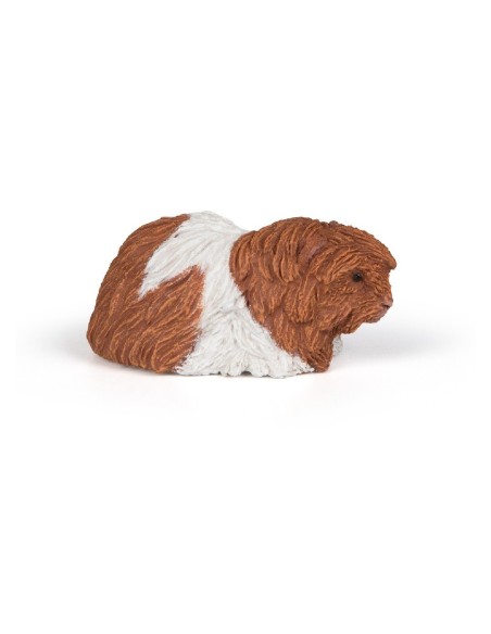 FIGURA COBAYA CERDO DE GUINEA ( PAPO ) 5