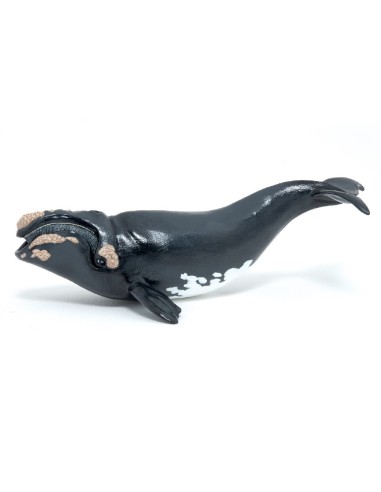 FIGURA BALLENA BOREAL ( PAPO ) 56057
