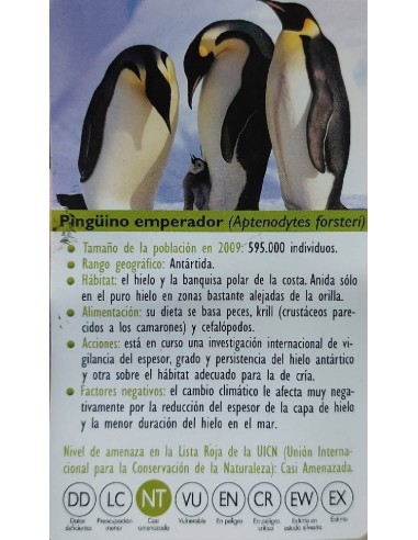 FIGURA PINGUINO EMPERADOR