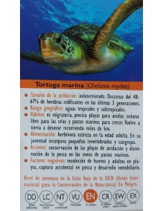 FIGURA TORTUGA MARINA 2