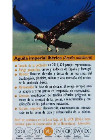 FIGURA AGUILA IMPERIAL IBERICA