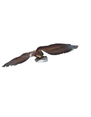 FIGURA AGUILA IMPERIAL IBERICA