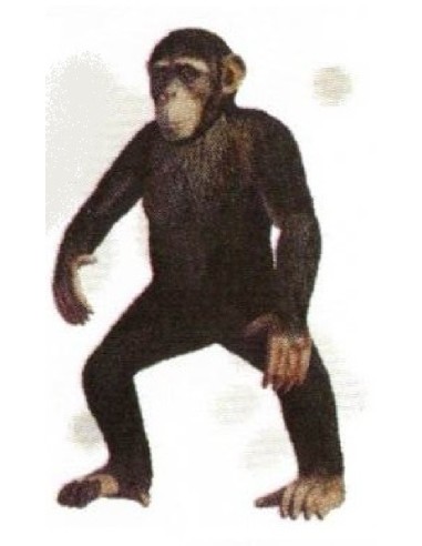 FIGURA CHIMPANCÉ COMÚN