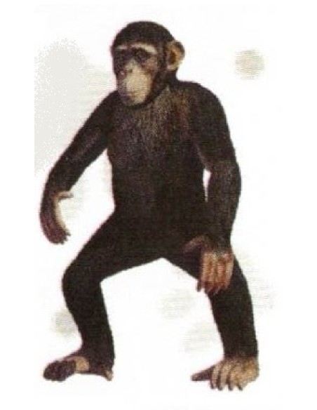 FIGURA CHIMPANCÉ COMÚN