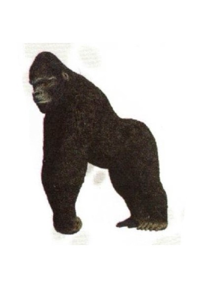 FIGURA GORILLA OCCIDENTAL