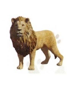 FIGURA LEÓN
