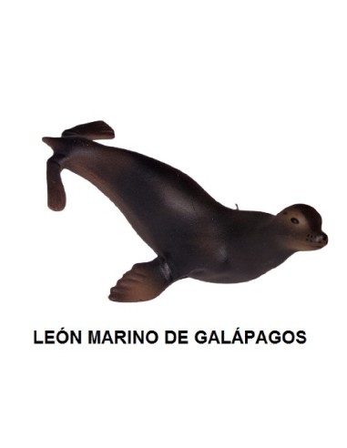 FIGURA LEON MARINO DE GALAPAGOS