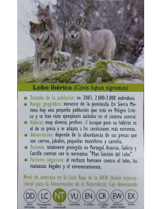 FIGURA LOBO IBERICO 2