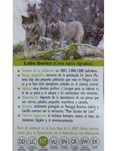 FIGURA LOBO IBERICO