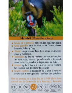 FIGURA MANDRIL 2