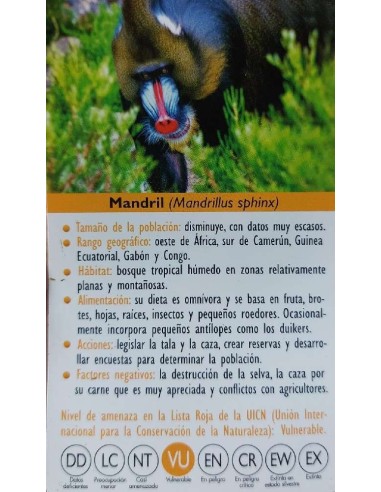 FIGURA MANDRIL