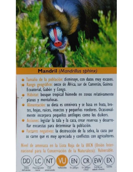 FIGURA MANDRIL