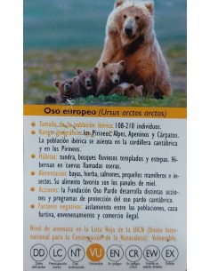 FIGURA OSO EUROPEO 2
