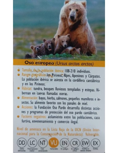 FIGURA OSO EUROPEO