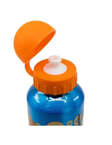 Pokemon Botella de aluminio para niños