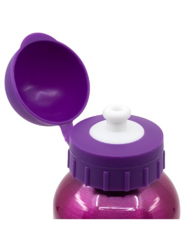 BOTELLA ALUMINIO PEQ. 400 ML PAW PATROL 