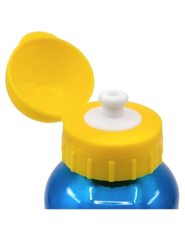 BOTELLA ALUMINIO PEQUEÑA 400 ML PAW PATR