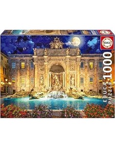 1000 Fontana Di Trevi, Roma