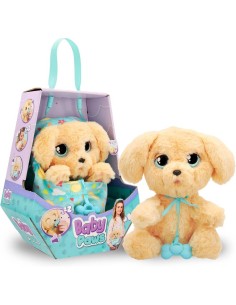 Baby paws w2 labrador