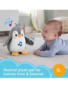 Fisher Price Pingüino Anda y Aletea 2