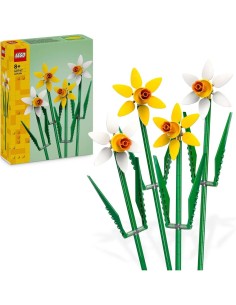 Narcisos