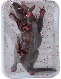 BANDEJA RATA 19X12 CMS