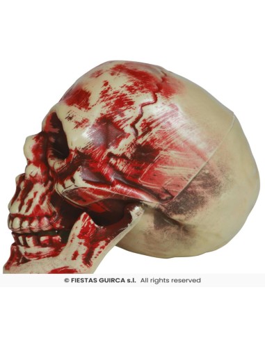 CALAVERA ENSANGRENTADA 20 CMS