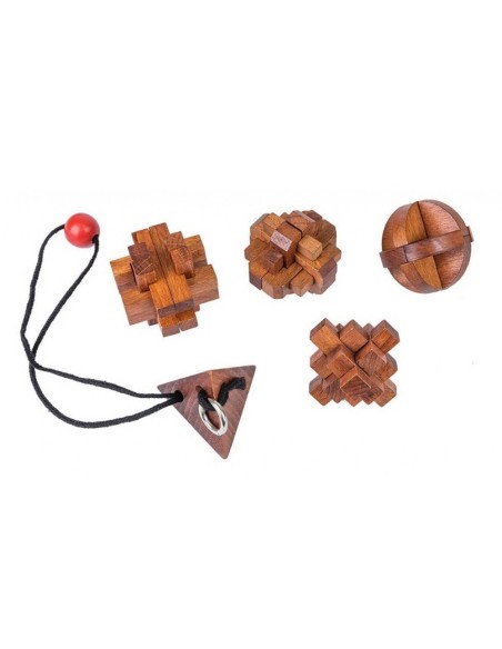 Set 5 Rompecabezas Grandes Mentes Mujer